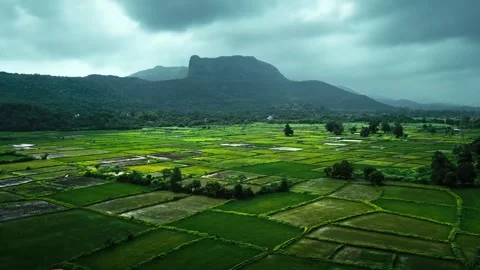 Rolling green paddy fields with majestic mountain backdrop under clouds. Stock-Footage 341068527