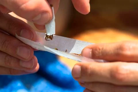 Rolling hashish joint Stock Photos