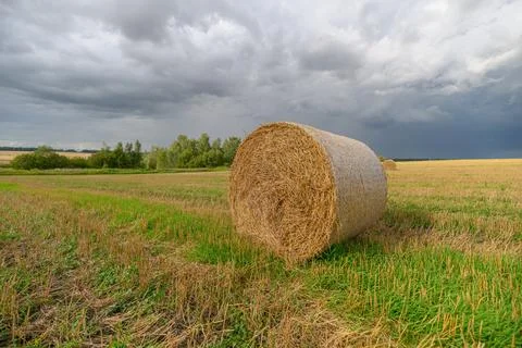 Rolling Hay Bales Under a Dramatic and Beautiful Sky Display, Evoking Strong Emo Stock Photos