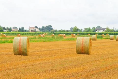 Rolling haystacks Stock Photos