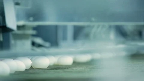 Rolling hen eggs at the chicken farm Stock Footage 72327058