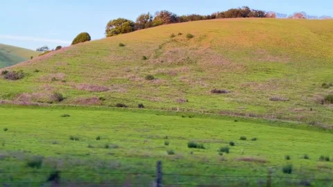 Rolling Hill with Tree and Sunset Glow Stock Footage 308752789