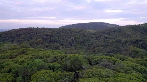 Rolling hills covered by dense Guayacán Rainforest beneath cloudy skies Vídeo Stock 345631595