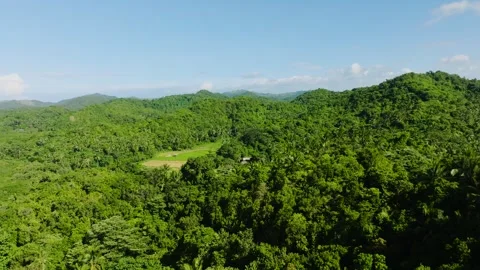 Rolling hills covered in dense tropical greenery. Tablas Island, Romblon Stock Footage 310040738