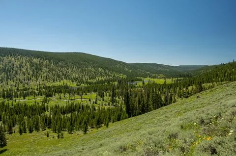 Rolling Hills Drop Down To Straight Creek As It Exits Grizzly Lake Photos