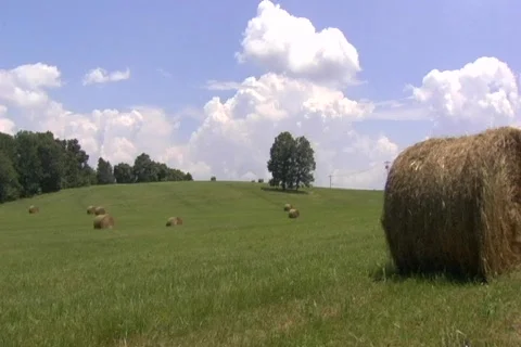 Rolling hills hay fields Stock Footage 148917