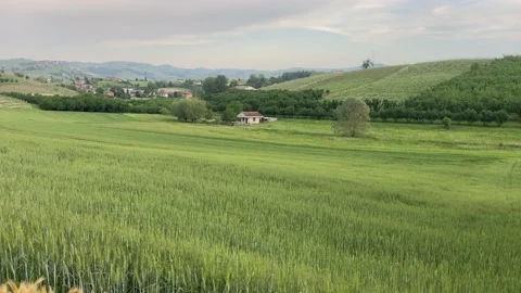 Rolling hills in Langhe 1 Stock Footage 197120661