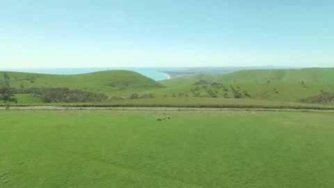 Rolling hills with ocean view drone 4k Stock Footage 169742240
