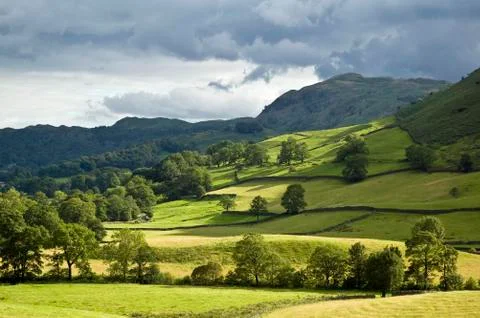 Rolling hills Stock Photos