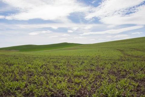 Rolling Hills Stock Photos