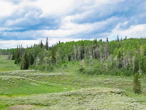 Rolling Hills Stock Photos