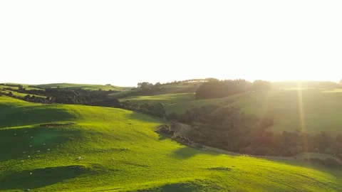 Rolling Hills With Road Passing through Golden Hour Aerial Stock Footage 296718133