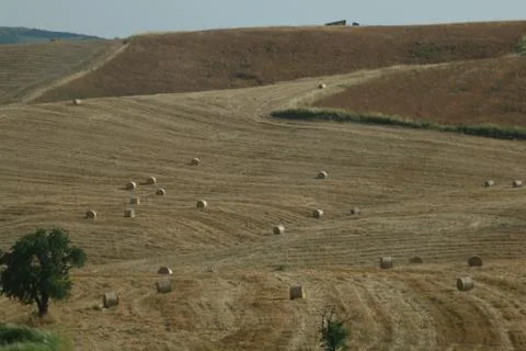 Rolling hills Sicily Stock Photos