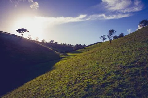 Rolling hills at sunset Photos
