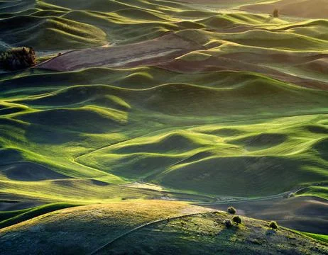 Rolling Hills at Sunset Stock Photos
