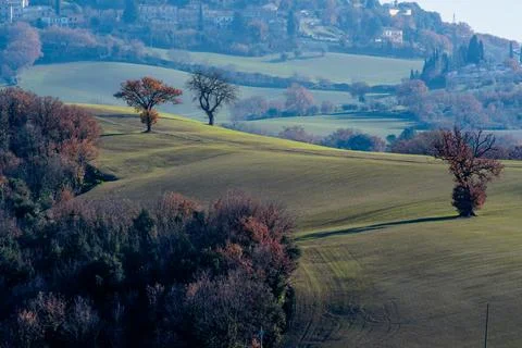 Rolling hills with trees and fields in Italy Stock Photos