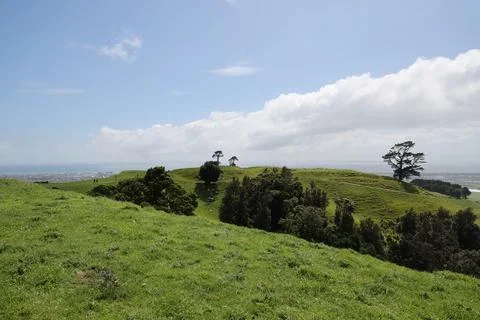 Rolling Hillside Meadow Under Bright Blue Sky 스톡 사진