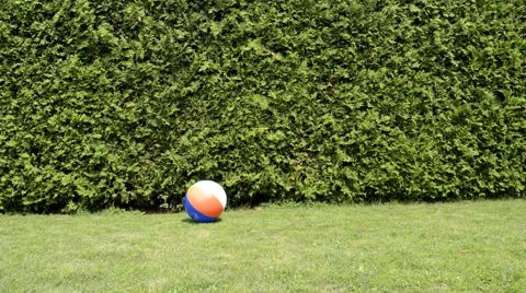 Rolling Inflatable ball on grass Video stock 52224167