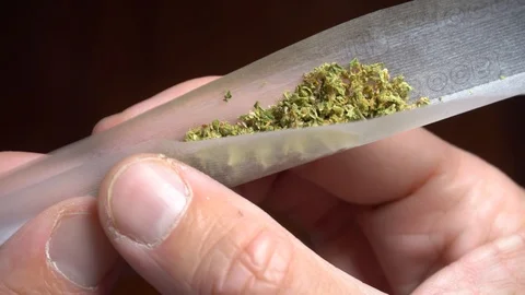 Rolling a Joint, Close Up, in Italy on 5 September 2019 Stock Footage 120083787