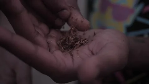 Rolling a joint Stock Footage 248909532