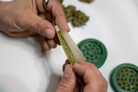Rolling a joint with a weed bong to grind cannabis buds into the bottom. Stock Photos