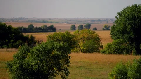 Rolling Kansas plains with trees and a hazy horizon 스톡 동영상 345530969