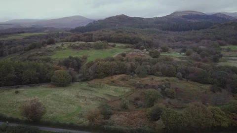 Rolling landscape, fields, hills, country lane, trees, famland, aerial drone Stock Footage 327243547