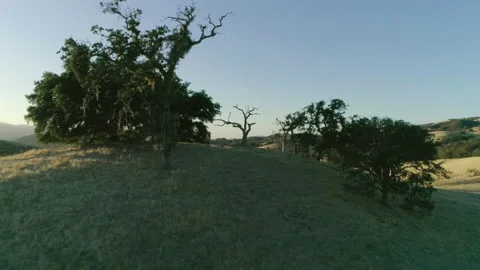 Rolling landscape Video stock 139049522