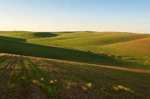 Rolling landscape Stock Photos