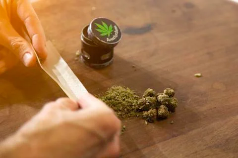 Rolling a marijuana cigarette Stock Photos