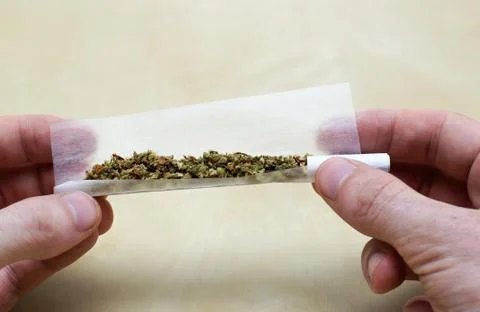 Rolling marijuana joint Stock Photos