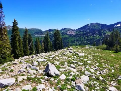 Rolling mountain greenery in Wasatch mountain range, Utah Foto stock