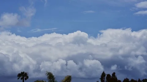 Rolling moving cloud on blue sky Stock Footage 81262158