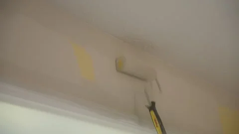 Rolling paint 5 Stock Footage 290800217