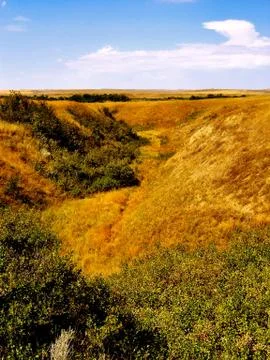 Rolling plains Photos