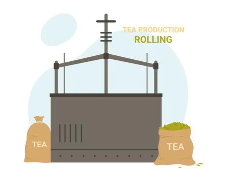 Rolling process in tea production Stock Illustration