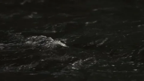 Rolling River Water Vídeo Stock 132904685