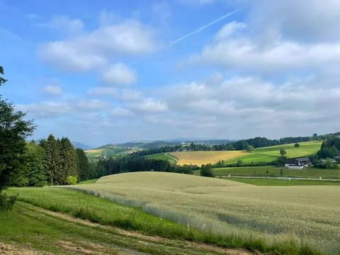 Rolling Rural Landscape Stock Photos