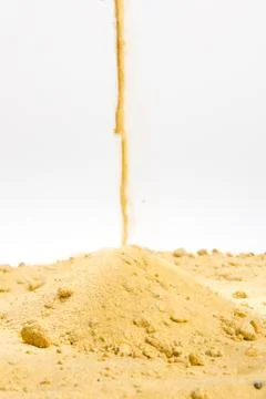 Rolling in the sand beautiful bunch Stock Photos