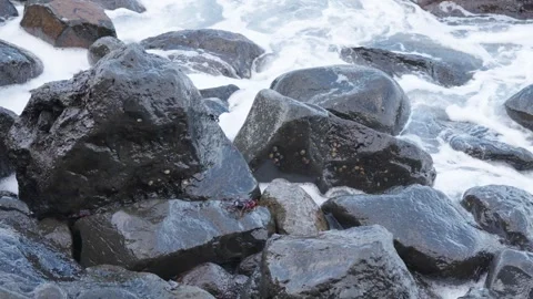 Rolling sea waves collide with jagged rocks along the coast while clusters of Stock Footage 346890055