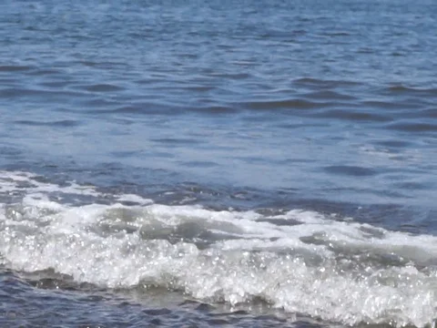 Rolling shore waves Vídeo Stock 78776414