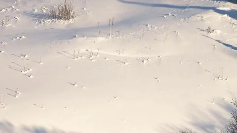 Rolling snow Stock Footage 74094267