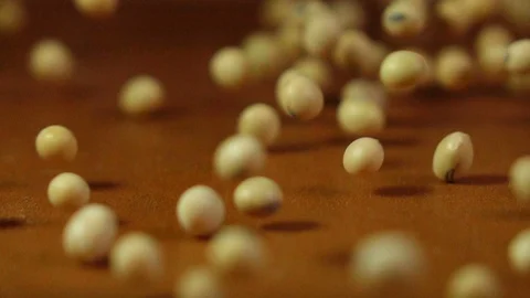 Rolling soy beans in slow motion shot Stock-Footage 116669435