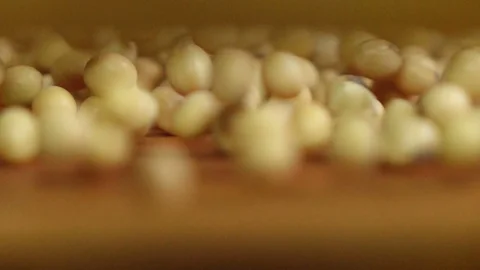 Rolling soy beans in slow motion shot Stock Footage 116669451