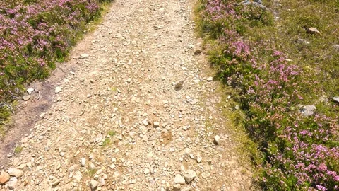 Rolling Stone Along Rocky Path in Scottish Highlands 库存影片 314691173