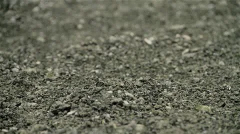 Rolling stones Stock Footage 8836503