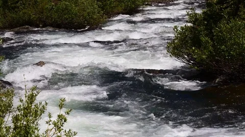 Rolling stream through bushes Stock Footage 128160104