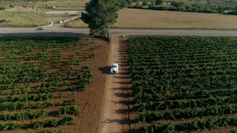 Rolling in Style: Aerial View of a Rolls Royce Arrival at a Wedding Stock Footage 236572815