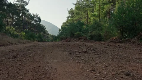 Rolling Terrain Stock Footage 339708892