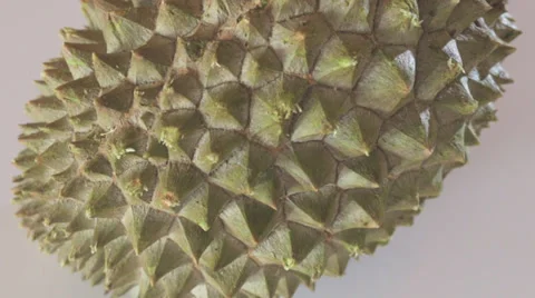 Rolling Thorny Planet Stock Footage 34013460